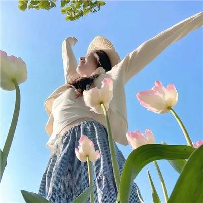 楚留香新传之影子传奇