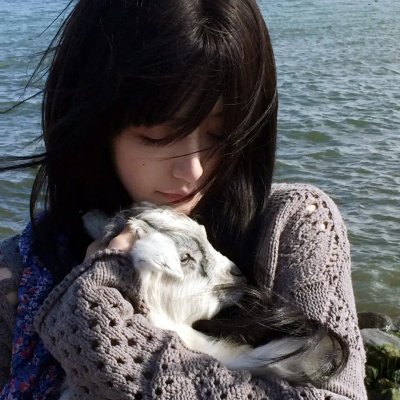 我靠抓罪犯讨好老丈人